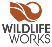 WildLifeWorks